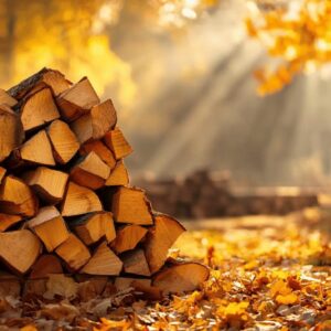 Budget chauffage : Du stere de bois traditionnel aux solutions modernes